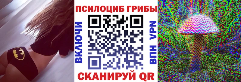 Псилоцибиновые грибы Cubensis  Голицыно 